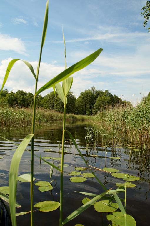 Rybaczowka Luknajno Villa Mikołajki Exteriör bild